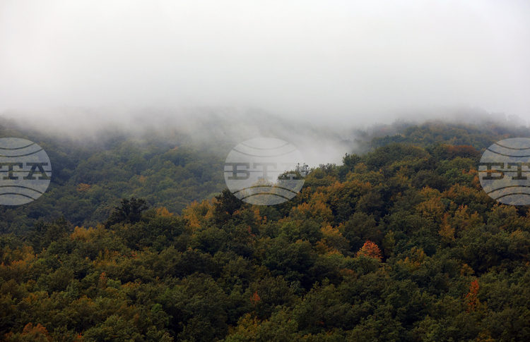СподелиСпоред информация от Планинската спасителна служба ПСС на Българския Червен