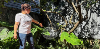 Отдавна изгубен древноримски артефакт бе открит в задния двор на къща в Ню Орлиънс