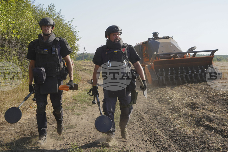 СподелиПетима души загинаха а трима бяха ранени когато две автомобила