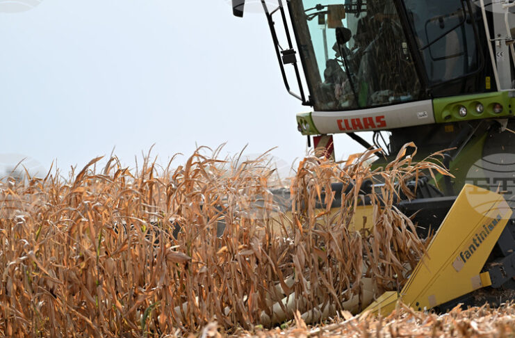 Спокойна седмица за световната търговия със зърнени стоки отчита Софийската стокова борса