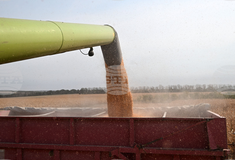 СподелиПрез последната седмица стоковият пазар беше активно засегнат от геополитически