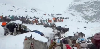 Всички блокирани алпинисти на Еверест бяха евакуирани