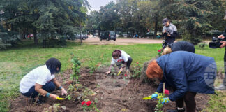 Засадиха 14 червени рози в „градината на донорите“ зад НДК, в България 875 души чакат за трансплантация