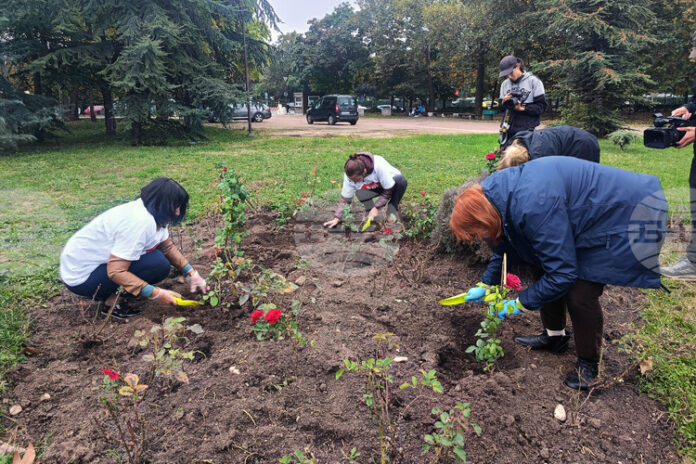 Засадиха 14 червени рози в „градината на донорите“ зад НДК, в България 875 души чакат за трансплантация