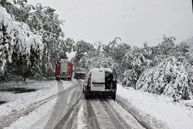 Сняг Монтанско
