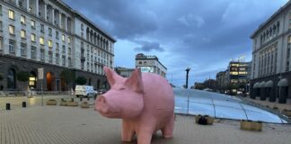 Прасе касичка