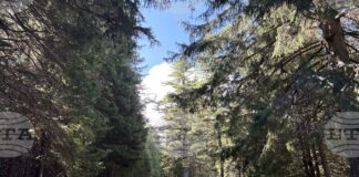 Добри са условията за туризъм в планините, казаха от Планинската спасителна служба на БЧК