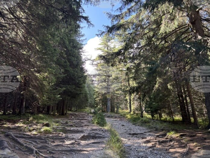 Добри са условията за туризъм в планините, казаха от Планинската спасителна служба на БЧК