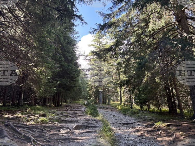 СподелиУсловията за планински туризъм са много добри съобщиха от Планинската