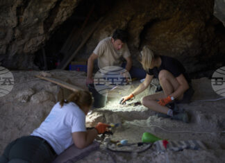 Фигурка на 12 000 години, изобразяваща взаимодействие между човек и животно, беше открита в Северен Израел Фигурка на 12 000 години, изобразяваща взаимодействие между човек и животно, беше открита в Северен Израел