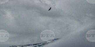 Лоши са условията за туризъм в планините, казаха от Планинската спасителна служба на БЧК