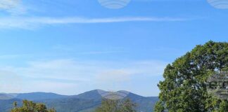 Отбелязваме Международния ден на биосферните паркове - в България те са четири