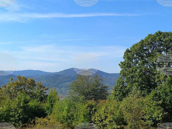 Отбелязваме Международния ден на биосферните паркове - в България те са четири