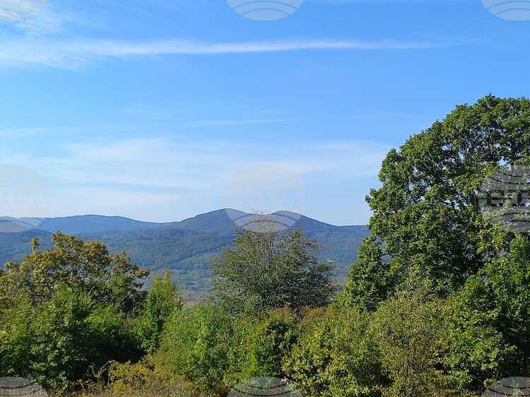 СподелиДнес се отбелязва Международният ден на биосферните паркове и резервати