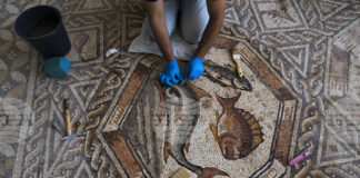 Подова мозайка от римската епоха с изображение на богиня на изобилието беше открита в Турция