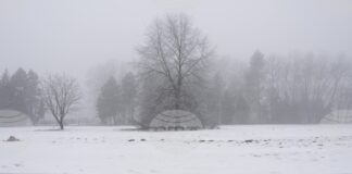 Полша поиска от Беларус да екстрадира двама украински граждани, обвинени в саботаж