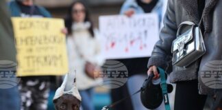 "Те не могат да говорят, ти защо мълчиш?" - граждани в София поискаха насилието над животни да спре
