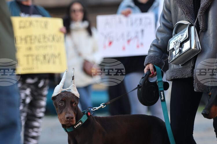 СподелиТози следобед пред Съдебната палата се проведе протест насочен срещу