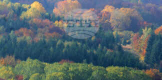 Във високите части на планините е облачно и мъгливо, съобщиха от Планинската спасителна служба на БЧК