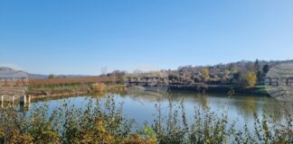 Язовирите в областите Благоевград и Кюстендил разполагат с необходимите свободни обеми, съобщават от МЗХ по повод обилните валежи от дъжд