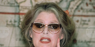 Брижит Бардо е вдъхновение за музиканти, посветили й песни