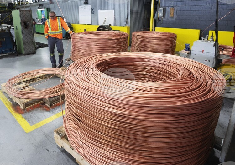 Инвеститори желаещи да увеличат портфейла си в сферата на изкуствения