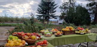 Електронните формуляри за обвързано подпомагане на плодове и зеленчуци за Кампания 2025 са публикувани на страницата на Държавен фонд „Земеделие“