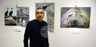 Фотоизложба в Русе разказва за птиците от Варна до Антарктида