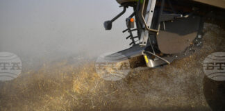 Глобалните стокови пазари отново останаха сравнително спокойни през изминалата седмица, отчитат експертите на Софийската стокова борса