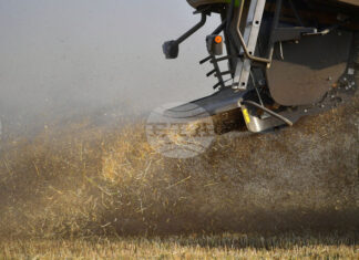 Глобалните стокови пазари отново останаха сравнително спокойни през изминалата седмица, отчитат експертите на Софийската стокова борса Глобалните стокови пазари отново останаха сравнително спокойни през изминалата седмица, отчитат експертите на Софийската стокова борса