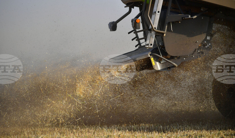 Глобалните стокови пазари запазиха спокойствие през изминалата седмица Нямаше значителни
