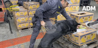 Италианската полиция обяви, че е заловила 435 кг кокаин на стойност 70 млн. евро