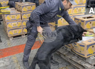 Италианската полиция обяви, че е заловила 435 кг кокаин на стойност 70 млн. евро