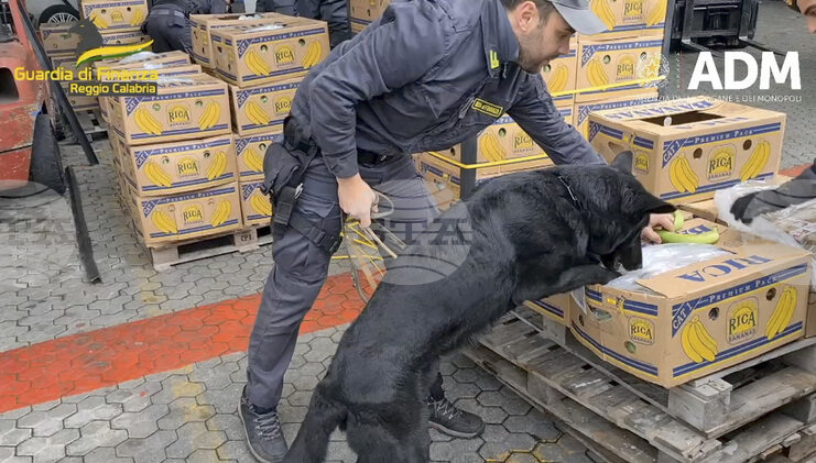 Италианската полиция обяви, че е заловила 435 кг кокаин на стойност 70 млн. евро