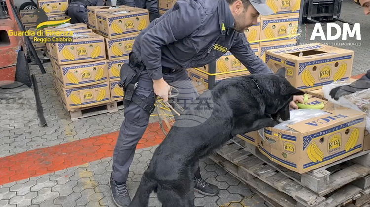 Граничната полиция на Италия съобщи днес че в южното пристанище