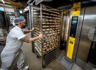 Източногерманците работят по-често по Коледа от западногерманците, сочи проучване