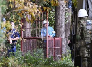 Мечки нарушават дейността на 30 на сто от компаниите в Североизточна Япония, сочи проучване Мечки нарушават дейността на 30 на сто от компаниите в Североизточна Япония, сочи проучване