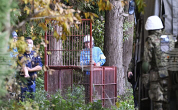 Мечки нарушават дейността на 30 на сто от компаниите в Североизточна Япония, сочи проучване Мечки нарушават дейността на 30 на сто от компаниите в Североизточна Япония, сочи проучване