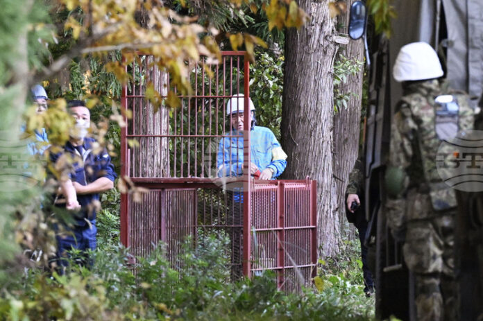 Мечки нарушават дейността на 30 на сто от компаниите в Мечки нарушават дейността на 30 на сто от компаниите в Североизточна Япония, сочи проучване