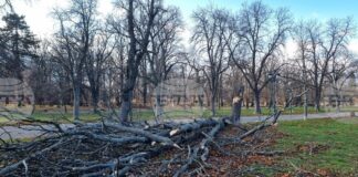 На общо 159 сигнала в цялата страна са реагирали екипите на пожарната заради силния вятър