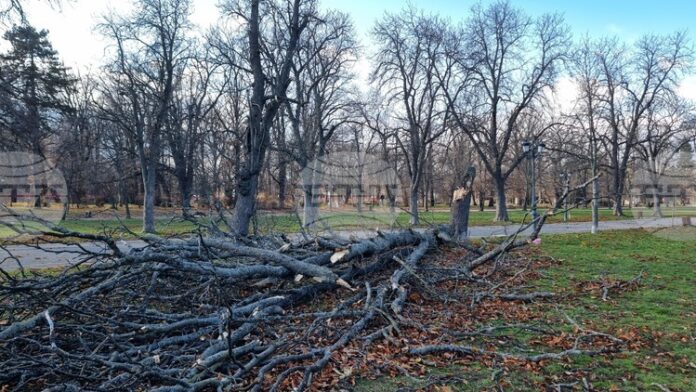 На общо 159 сигнала в цялата страна са реагирали екипите на пожарната заради силния вятър