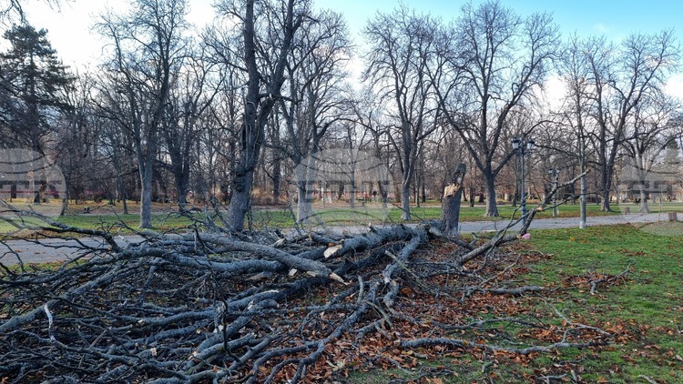 От 00 00 ч до 17 45 ч днес пожарникарите