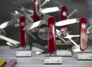 Началникът на Въоръжените сили на Швейцария заяви, че страната не може да се защити сама от пълномащабна атака