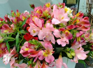 Над 2500 казанлъчани отбелязват своя имен ден на Стефановден