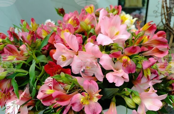 Над 2500 казанлъчани отбелязват своя имен ден на Стефановден