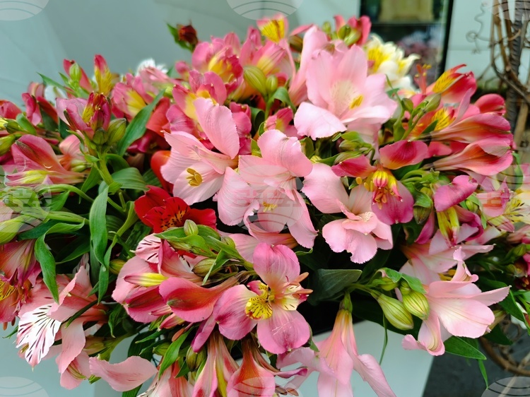 Повече от 2500 души от Казанлък празнуват именния си ден