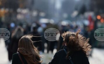 Няма пострадали хора и населени места без електричество на територията на Столичната община заради силния вятър, съобщиха от "Аварийна помощ и превенция" Няма пострадали хора и населени места без електричество на територията на Столичната община заради силния вятър, съобщиха от "Аварийна помощ и превенция"