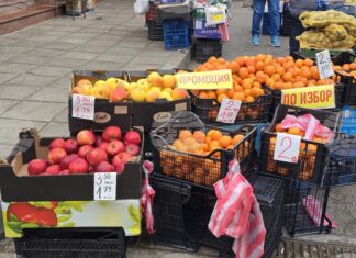 Основни продукти за коледно-новогодишните празници ще струват между 80 и 120 лева на семейство от четирима души в Сливен