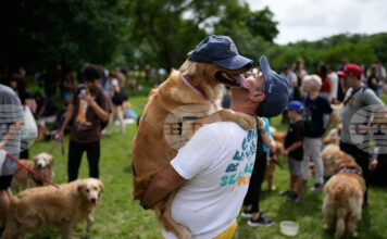 Повече от 2000 кучета от породата „Голдън ретривър" се събраха в парк в Аржентина, поставяйки неофициален световен рекорд Повече от 2000 кучета от породата „Голдън ретривър" се събраха в парк в Аржентина, поставяйки неофициален световен рекорд