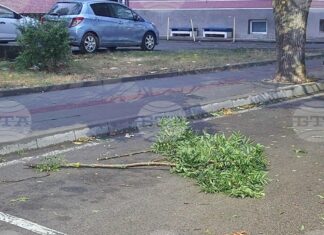 При силен вятър не стойте на открито заради опасността от падащи предмети, съветват от пожарната